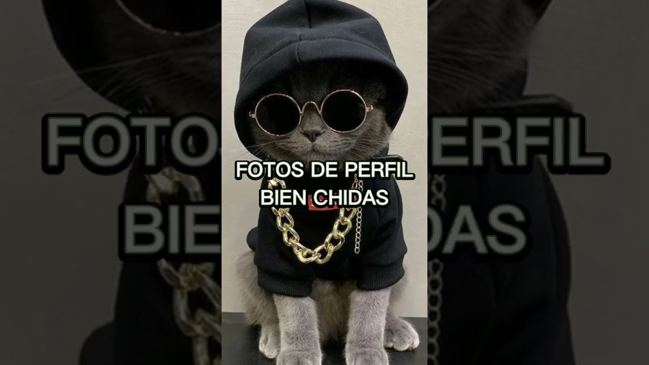 Descubre Las Mejores Ideas Para Fotos De Perfil Para Hombres En Descubre Las Mejores Ideas Para Fotos De Perfil Para Hombres En