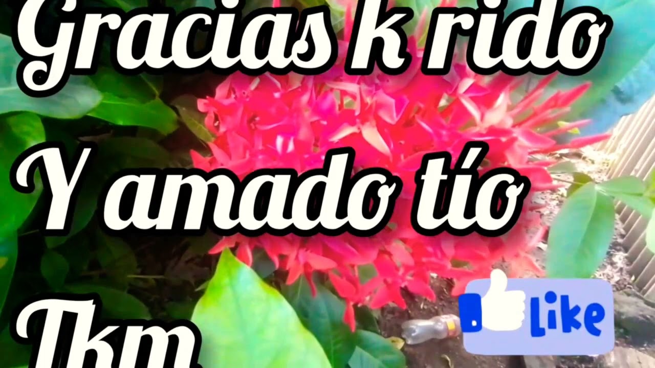 frases de agradecimiento a un tio