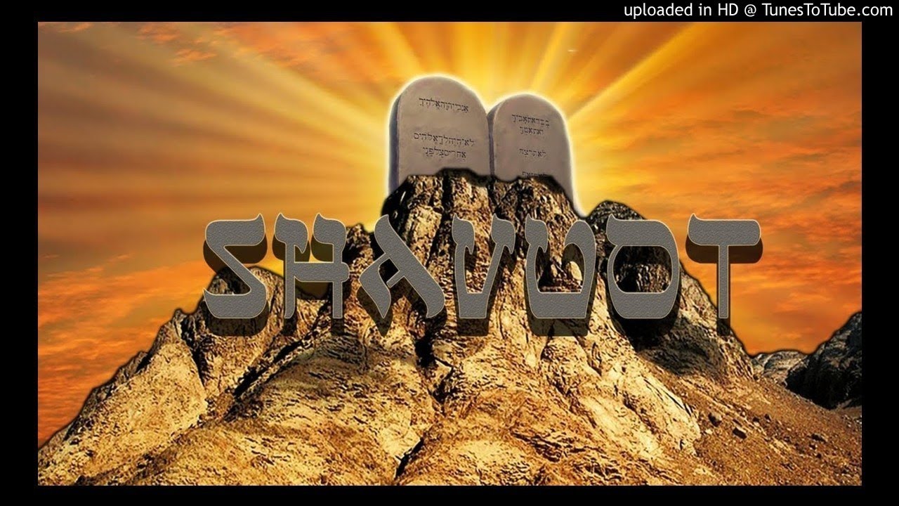 frases del talmud sobre la vida