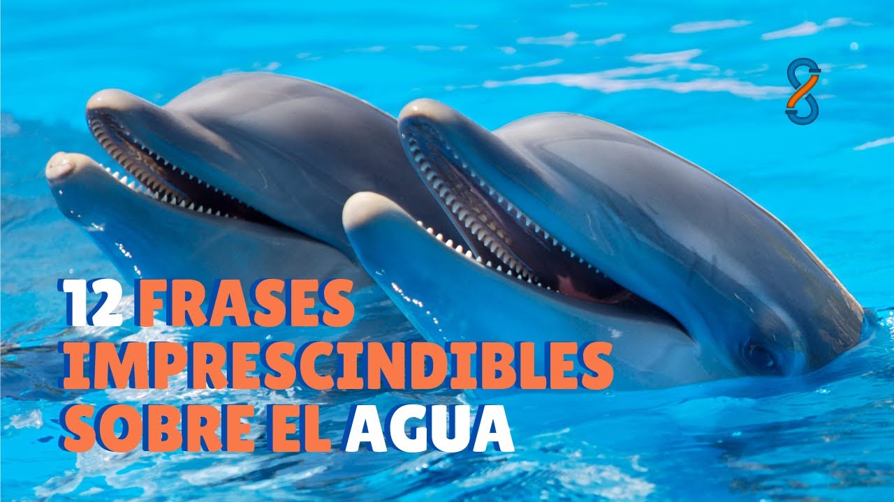 frases sobre el reflejo del agua