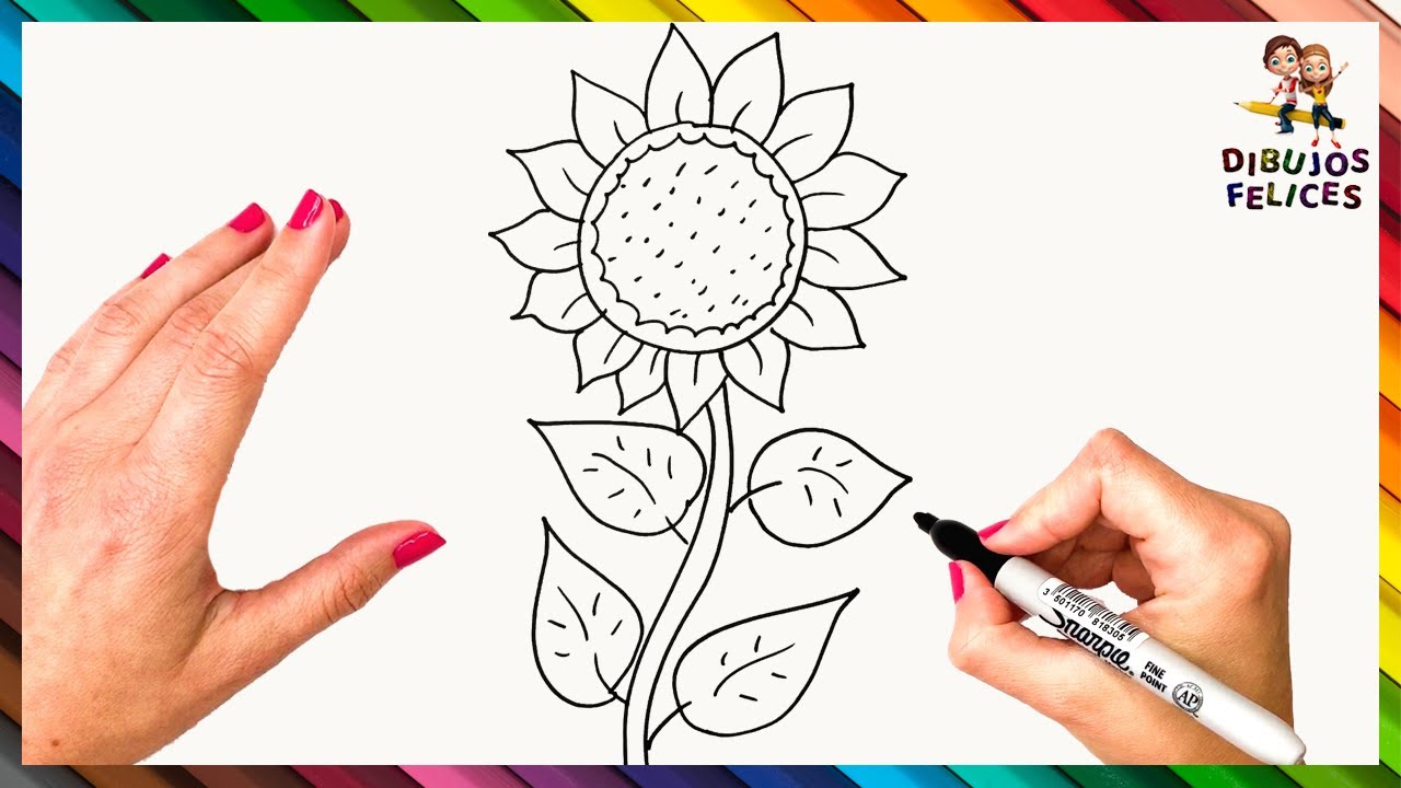 imagen de un girasol para colorear