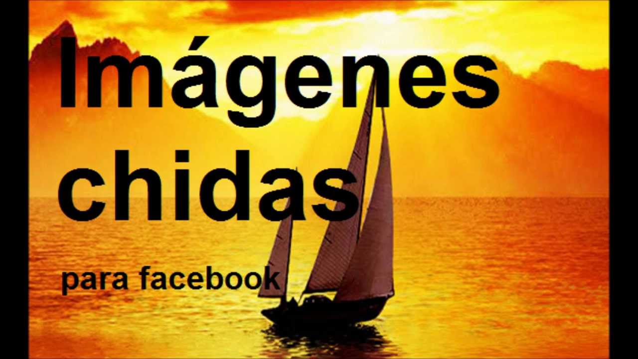 imágenes chidas con frases perronas para descargar