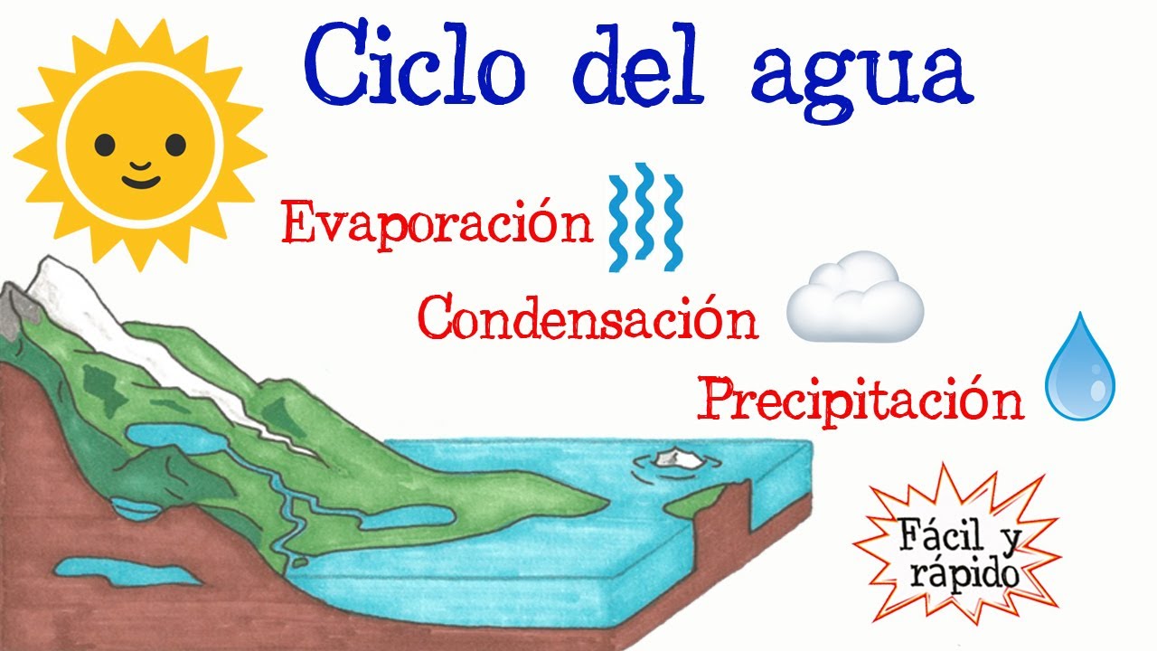 mapa conceptual de ciclo del agua