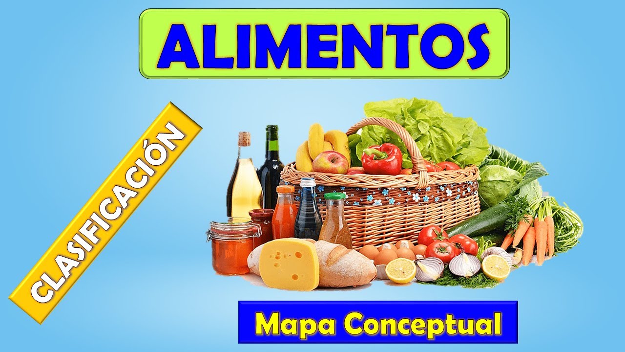 mapa conceptual de la clasificacion de los alimentos