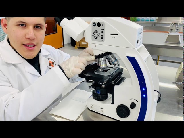 practica de laboratorio uso y manejo del microscopio