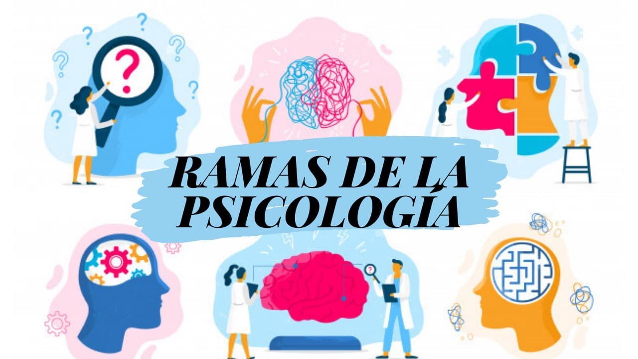 ramas de la psicología mapa conceptual