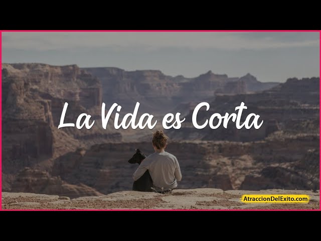 reflexion la vida es muy corta