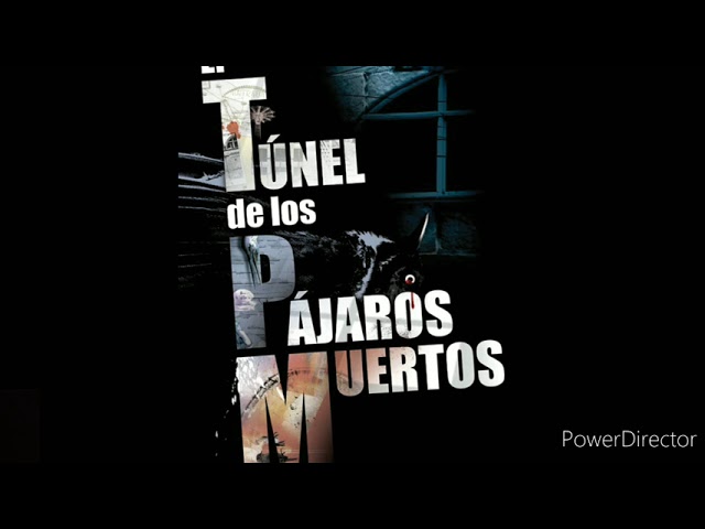 resumen corto del libro el tunel de los pajaros muertos