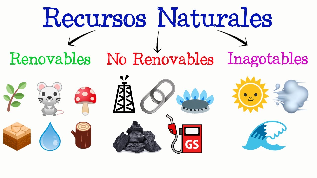 cuadro sinóptico de los recursos naturales