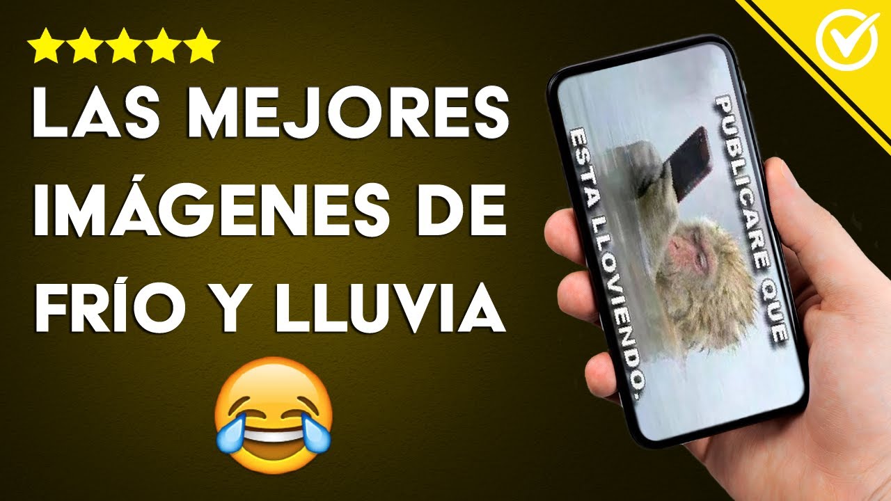 imagenes chistosas de lluvia para facebook