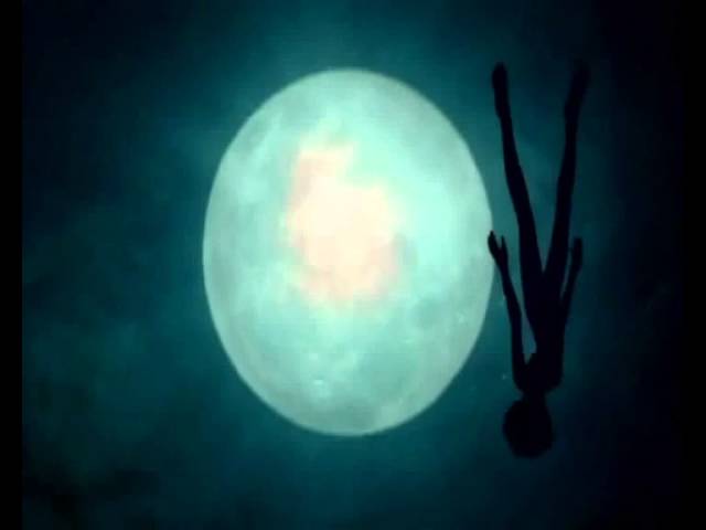 llevame mi amor hasta la luna o hasta el sol