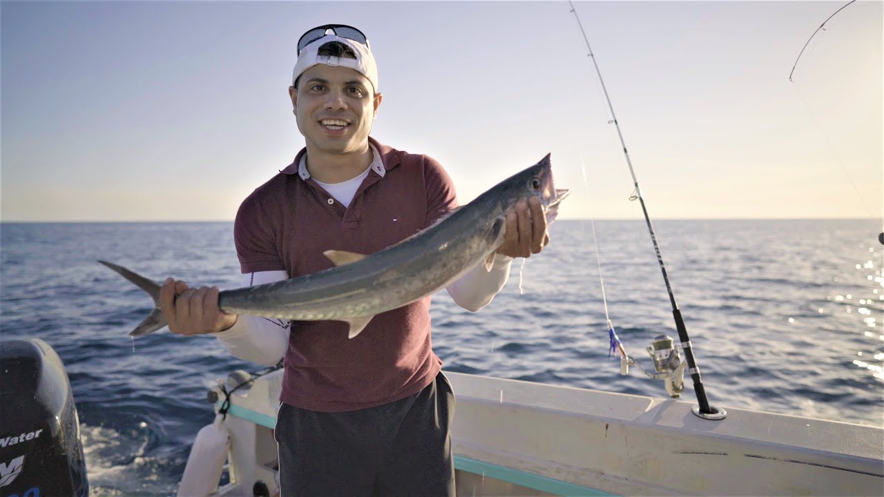 peces del golfo de mexico pdf