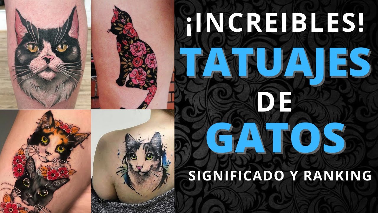 tatuajes de gatos en el brazo